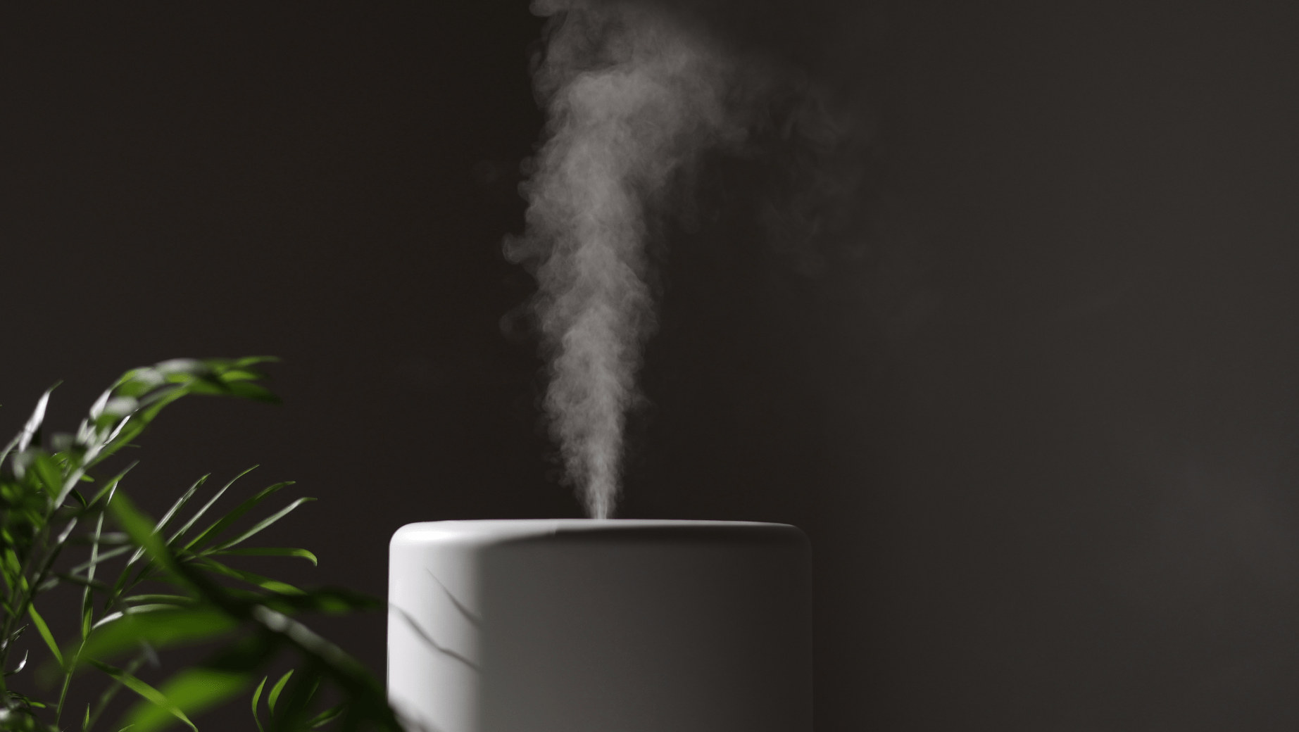 humidifier